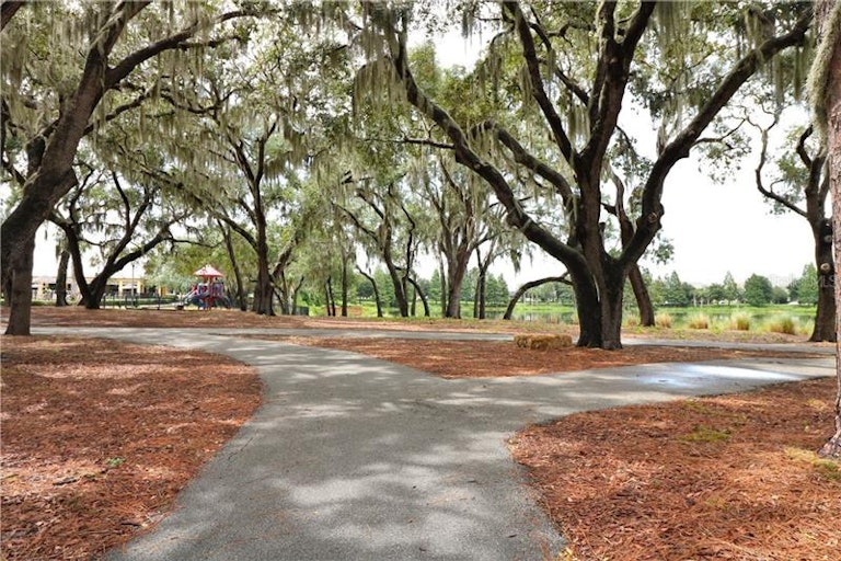 Photo 16 of 17 - 14241 Confetti Dr, Windermere, FL 34786