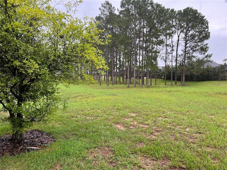 Photo 35 of 43 - 360 Tupelo Cir, Davenport, FL 33897