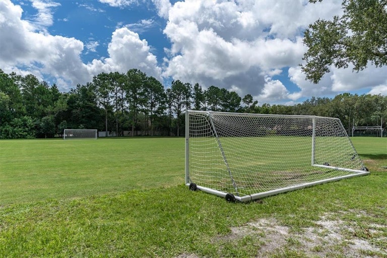 Photo 50 of 57 - 4324 Auston Way, Palm Harbor, FL 34685