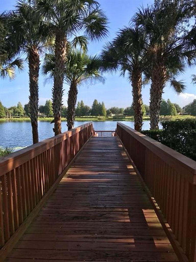 Photo 27 of 32 - 5237 Lemon Twist Ln, Windermere, FL 34786