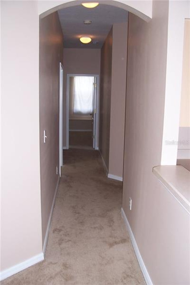 Photo 13 of 24 - 10924 Australian Pine Dr, Riverview, FL 33579
