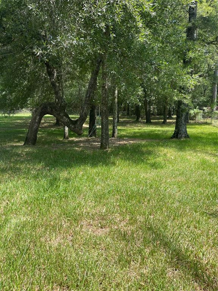 Photo 16 of 16 - 3688 White Oak Dr, Conroe, TX 77301