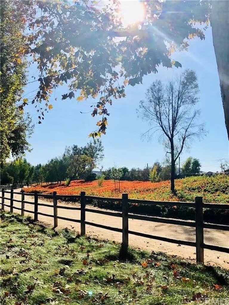 Photo 19 of 22 - 11 Azalea, Irvine, CA 92620