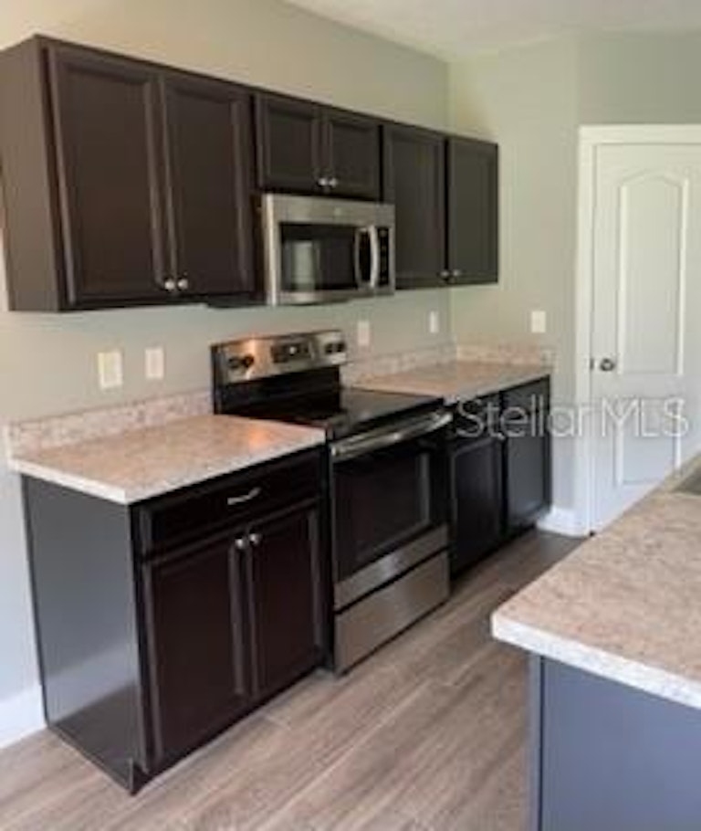 Photo 6 of 17 - 14558 Haddon Mist Dr, Wimauma, FL 33598