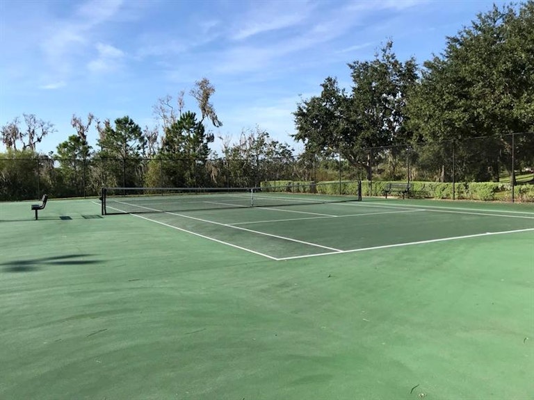 Photo 32 of 32 - 5237 Lemon Twist Ln, Windermere, FL 34786