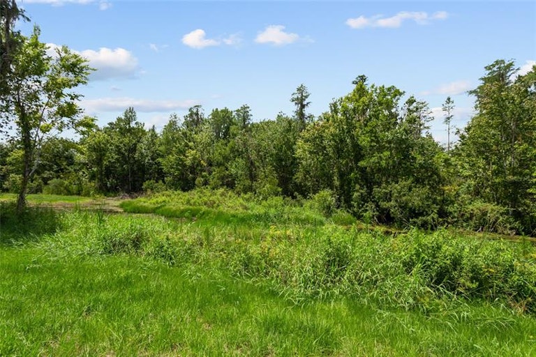 Photo 22 of 29 - 426 Mallard Ln, Kissimmee, FL 34759
