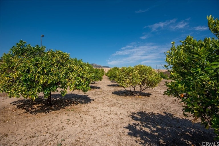 Photo 49 of 52 - 3795 Valencia Ave, San Bernardino, CA 92404