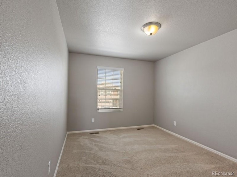 Photo 24 of 34 - 2042 Shadow Creek Dr, Castle Rock, CO 80104