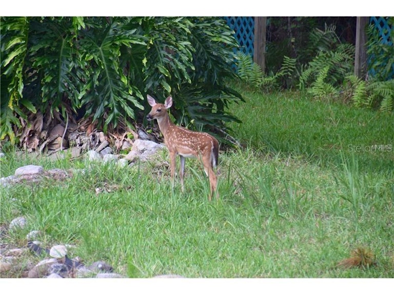 Photo 23 of 24 - 5445 Nevada Ave, Sanford, FL 32771