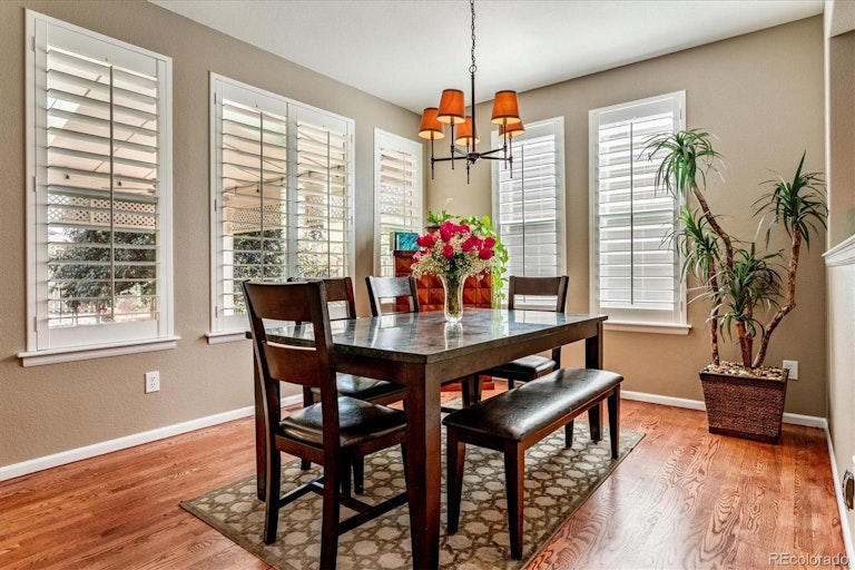 Photo 9 of 25 - 5479 Fullerton Cir, Highlands Ranch, CO 80130