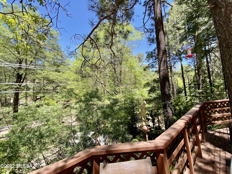 Photo 22 of 32 - 12708 N Sabino Canyon Pkwy, Mount Lemmon, AZ 85619