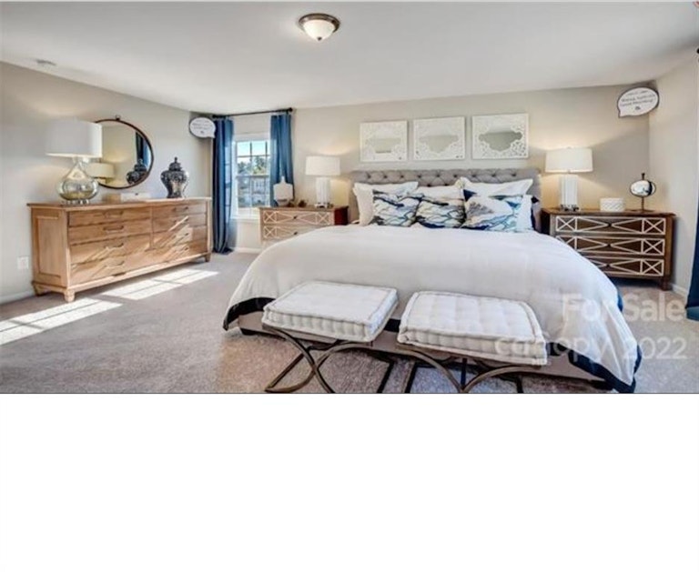 Photo 9 of 15 - 1017 Batiste Ave #688, Waxhaw, NC 28173