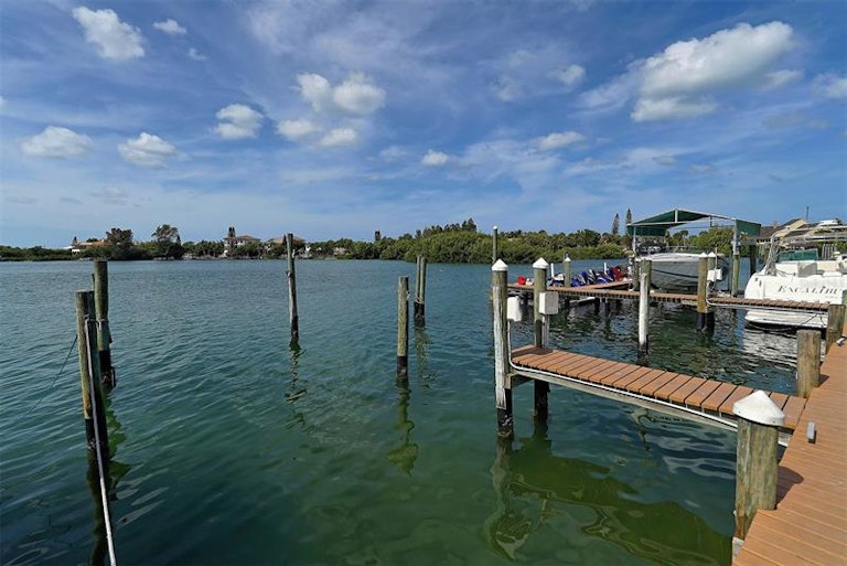 Photo 74 of 77 - 306 Pine Run Dr, Osprey, FL 34229