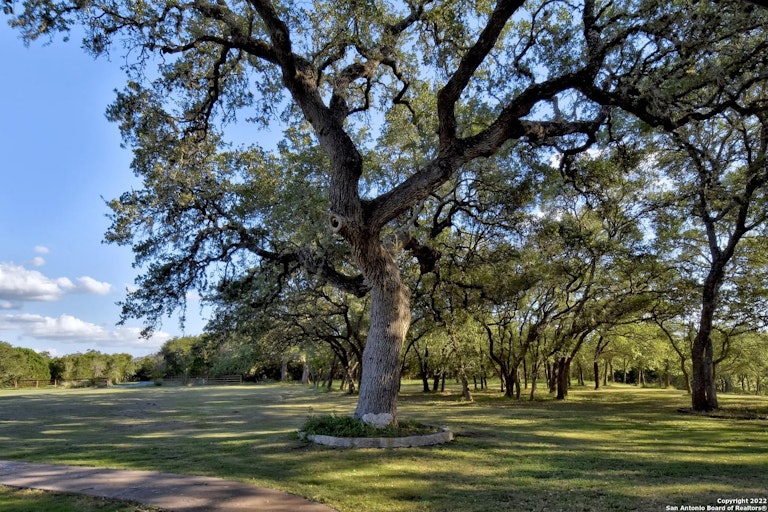 Photo 48 of 51 - 1359 E Ammann Rd, Bulverde, TX 78163