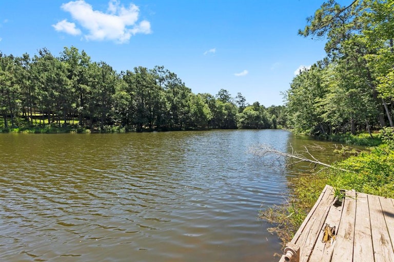 Photo 51 of 51 - 2426 Blue Lake Dr, Magnolia, TX 77354