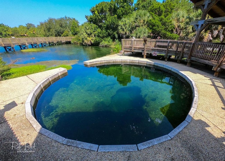 Photo 42 of 42 - 372 Westwinds Dr, Palm Harbor, FL 34683