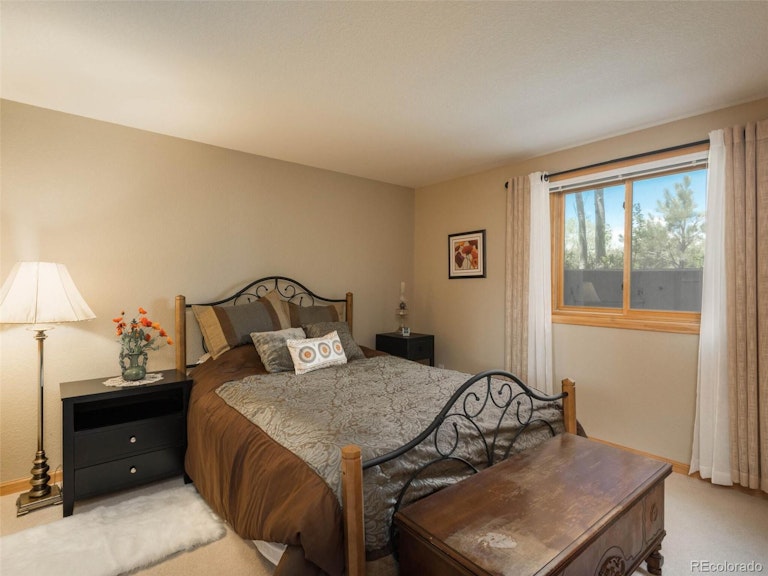 Photo 31 of 40 - 10228 Tomichi Dr, Franktown, CO 80116