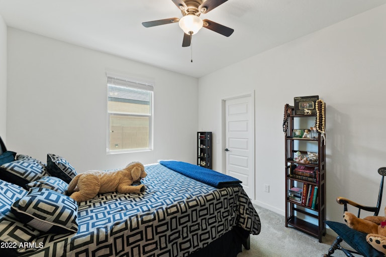 Photo 15 of 25 - 40010 W Ganly Way, Maricopa, AZ 85138
