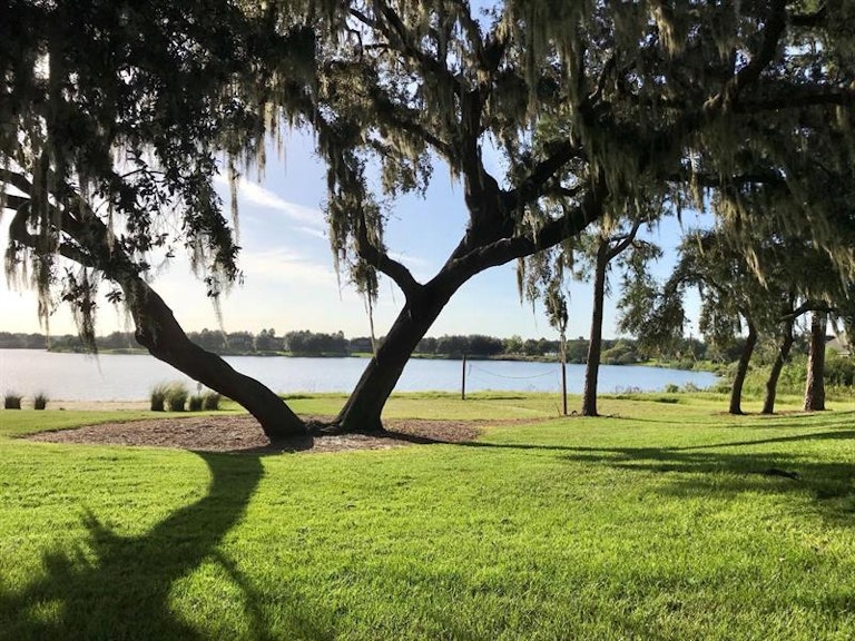 Photo 28 of 32 - 5237 Lemon Twist Ln, Windermere, FL 34786