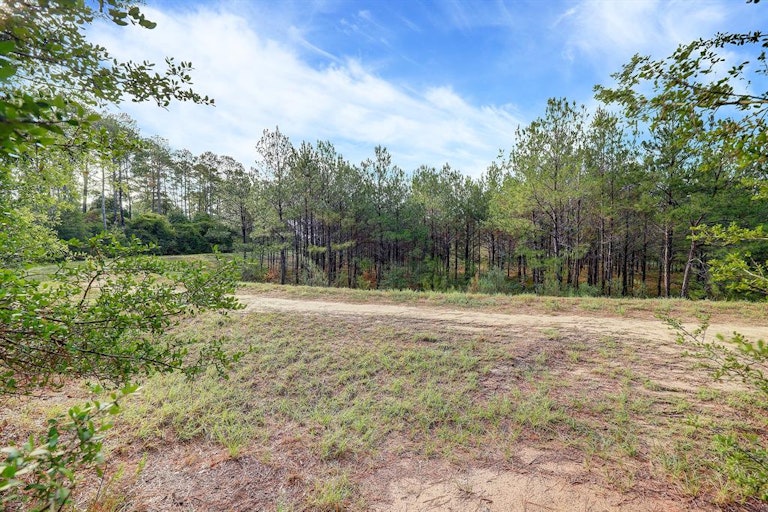 Photo 43 of 44 - 12003 Wynmar Ln, Cypress, TX 77429