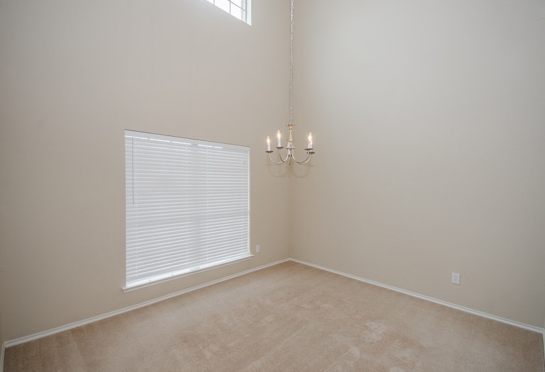 Photo 26 of 44 - 9713 Mulligan Dr, McKinney, TX 75072