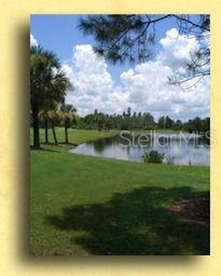 Photo 21 of 25 - 7432 Melogold Cir, Land O Lakes, FL 34637