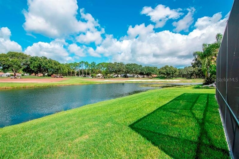 Photo 49 of 72 - 18910 Maisons Dr, Lutz, FL 33558