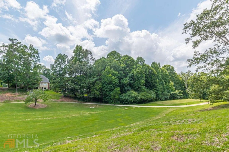Photo 54 of 72 - 3535 Fairgreen Ct, Douglasville, GA 30135