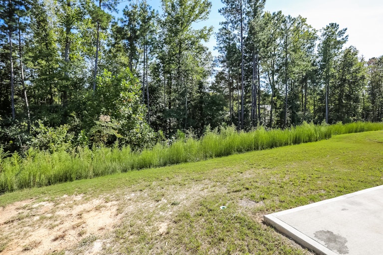 Photo 25 of 25 - 370 Fieldspar Ln, Clayton, NC 27520
