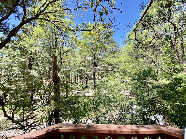 Photo 21 of 32 - 12708 N Sabino Canyon Pkwy, Mount Lemmon, AZ 85619