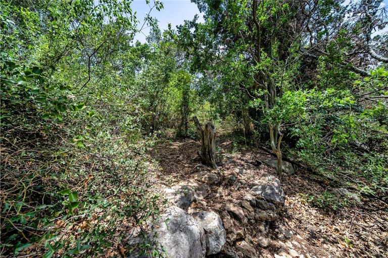 Photo 33 of 37 - 1501 Wilson Heights Dr, Austin, TX 78746