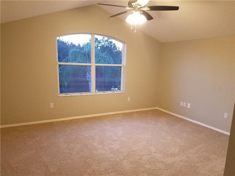Photo 23 of 25 - 19406 Golden Slipper Pl, Lutz, FL 33558