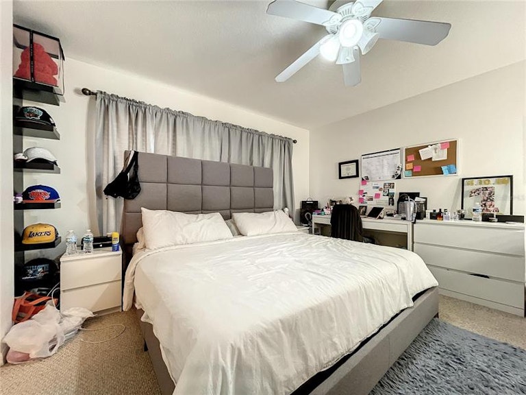 Photo 35 of 59 - 11013 Blaine Top Pl, Tampa, FL 33626