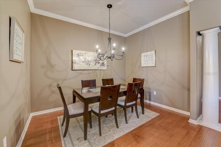 Photo 11 of 52 - 1740 Swamp Rose Ln, Trinity, FL 34655