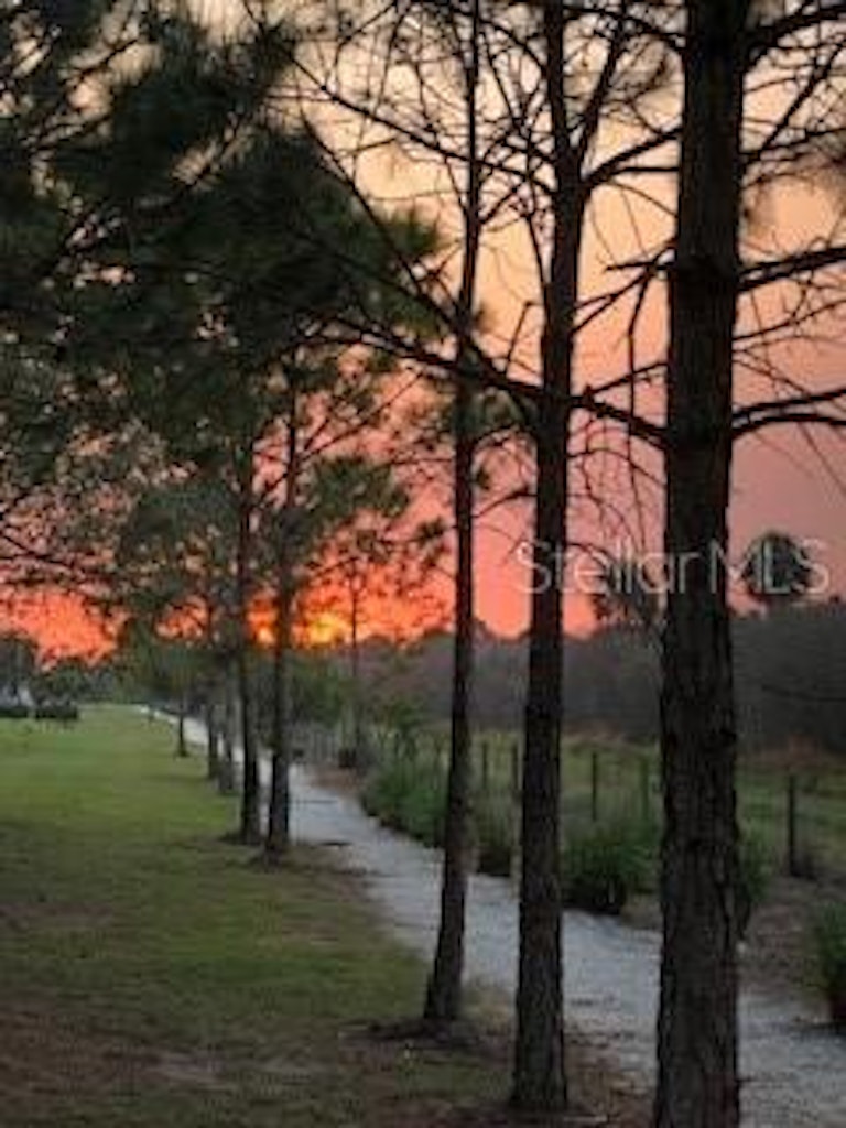 Photo 64 of 64 - 511 Winterside Dr, Apollo Beach, FL 33572