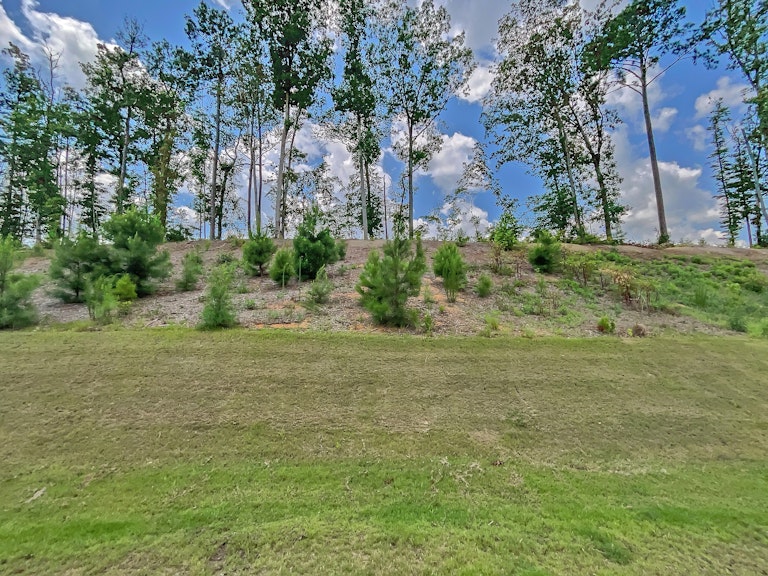Photo 18 of 18 - 155 Cliffview Dr, Garner, NC 27529