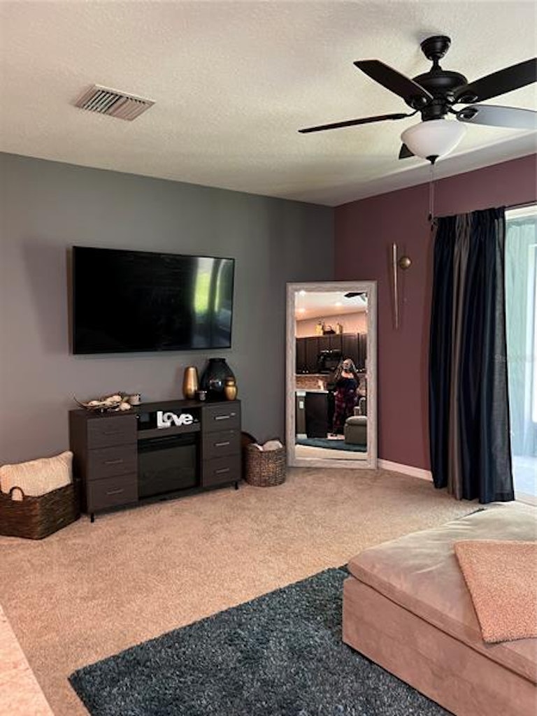 Photo 21 of 60 - 821 Lucent Sands Ct, Brandon, FL 33511