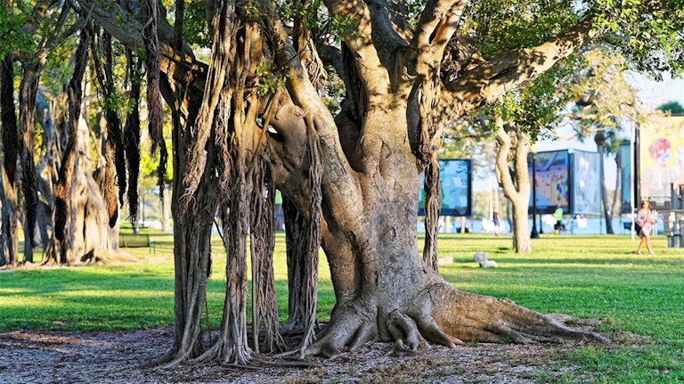 Photo 33 of 67 - 1720 Chester Ave, Sarasota, FL 34234