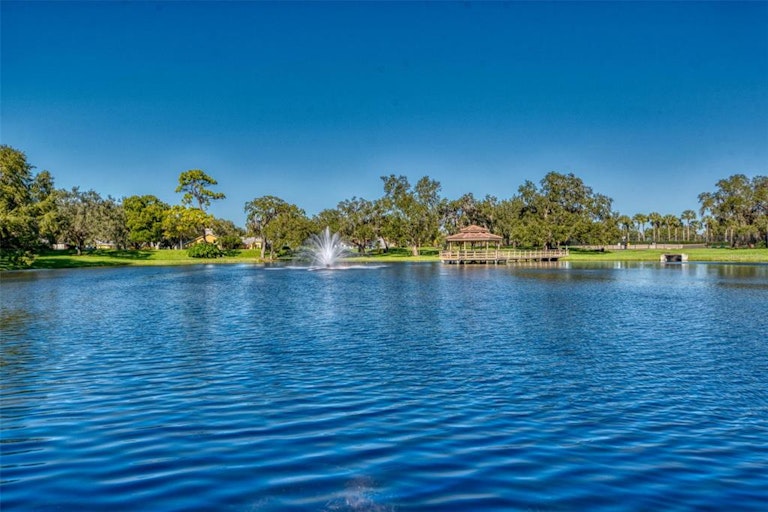 Photo 52 of 54 - 2107 Pinnacle Cir S, Palm Harbor, FL 34684