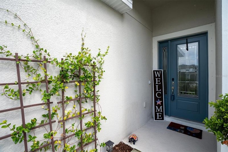 Photo 4 of 47 - 29769 Chapel Chase Dr, Wesley Chapel, FL 33545