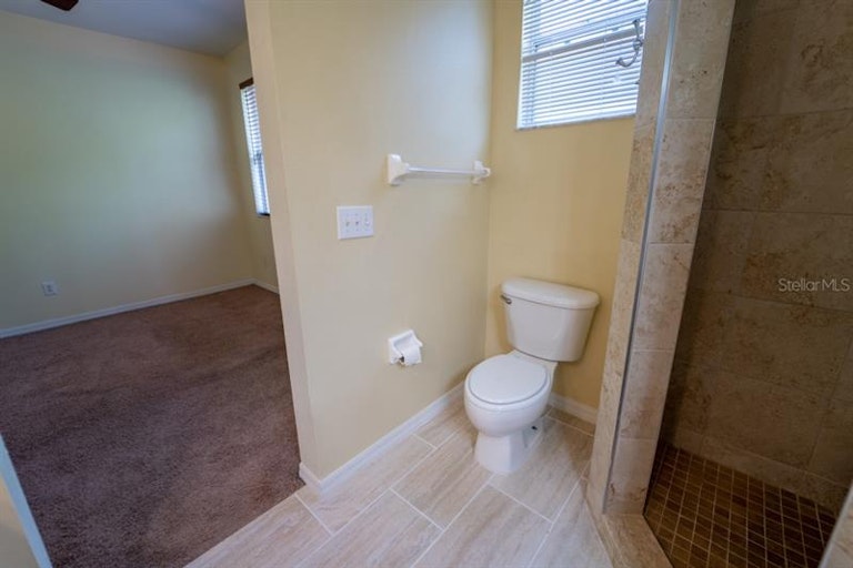 Photo 47 of 71 - 8105 Stone Leaf Ln, Tampa, FL 33647