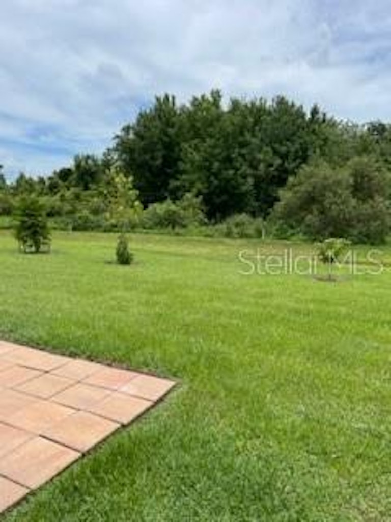Photo 4 of 17 - 14558 Haddon Mist Dr, Wimauma, FL 33598