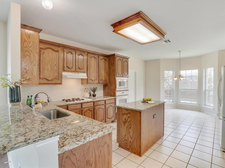 Photo 16 of 36 - 3720 Neptune Cir, Frisco, TX 75033