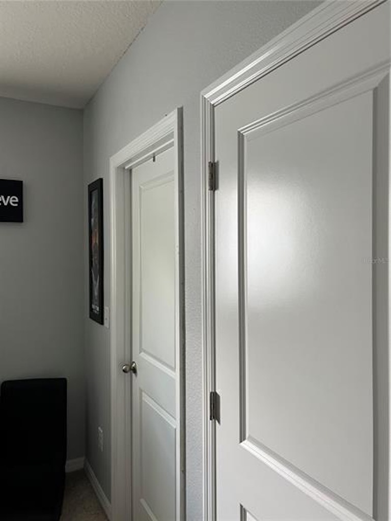 Photo 42 of 60 - 821 Lucent Sands Ct, Brandon, FL 33511