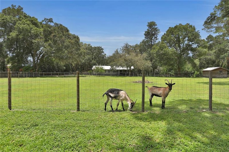 Photo 42 of 44 - 5840 Ross Creek Rd, Lakeland, FL 33810