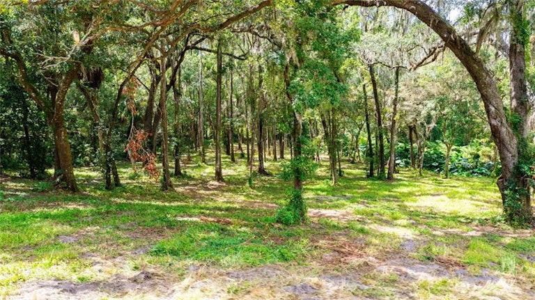 Photo 20 of 95 - 31949 Amberlea Rd, Dade City, FL 33523