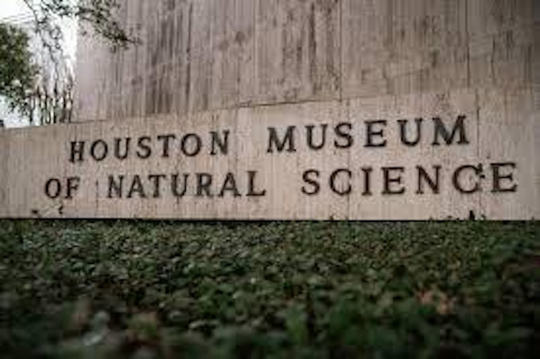 Photo 41 of 44 - 2700 Albany St #3B, Houston, TX 77006