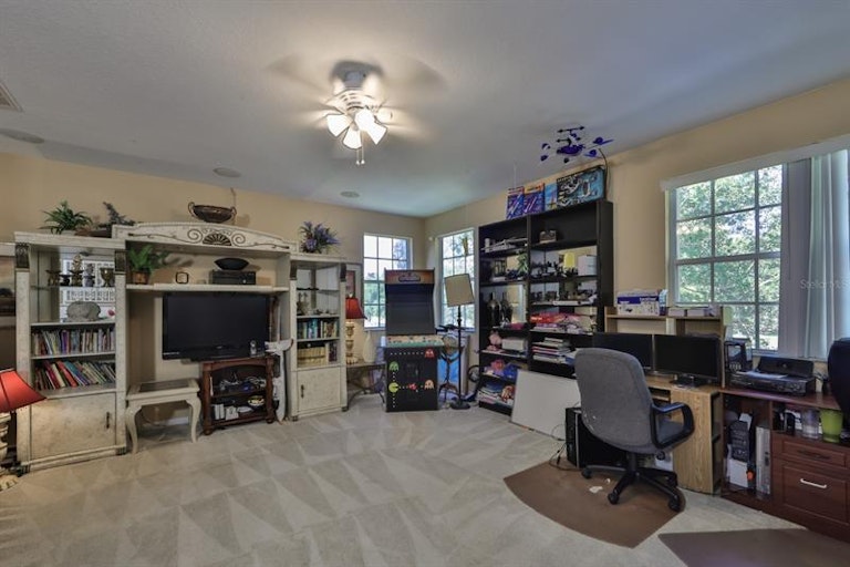 Photo 29 of 52 - 2930 Downan Point Dr, Land O Lakes, FL 34638