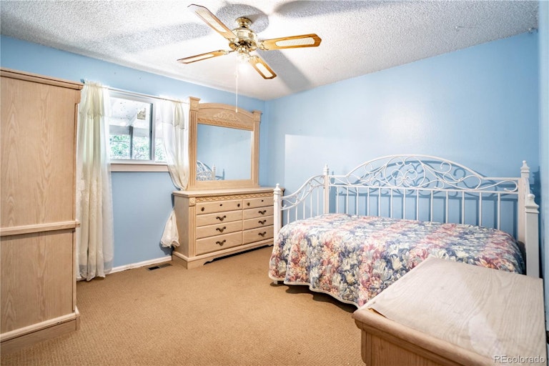 Photo 10 of 24 - 5309 Altura St, Denver, CO 80239