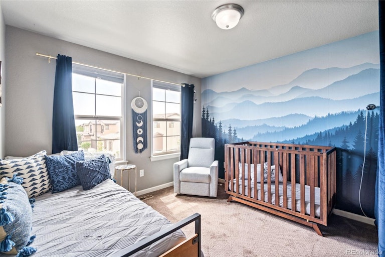 Photo 27 of 40 - 2347 S Loveland St, Denver, CO 80228